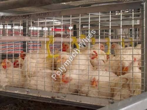 Breeder Cages Weld Mesh Rolls