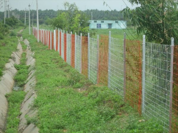 Agriculture Agriculture