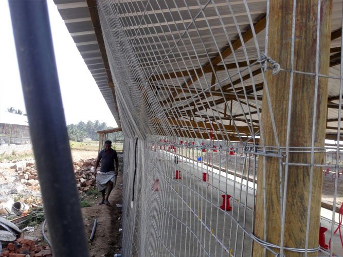 Poultry Shed Fencing
