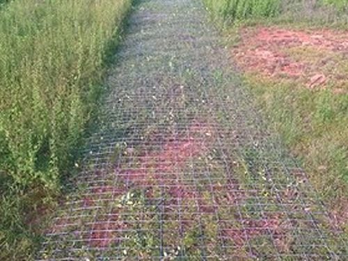 Unwinding Weldmesh Rolls