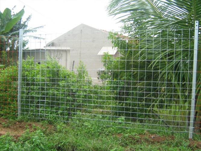 Weldmesh Shed Fencing